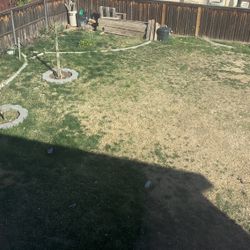 Concrete Edging /planters