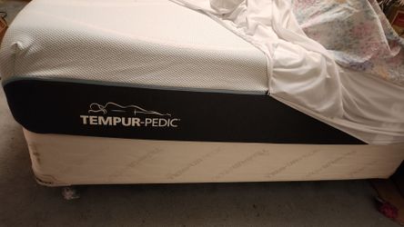 Queen bed set