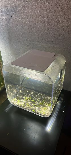 Top fin 3 gallon betta tank pedestal full kit