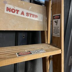 6 Foot Ladder 