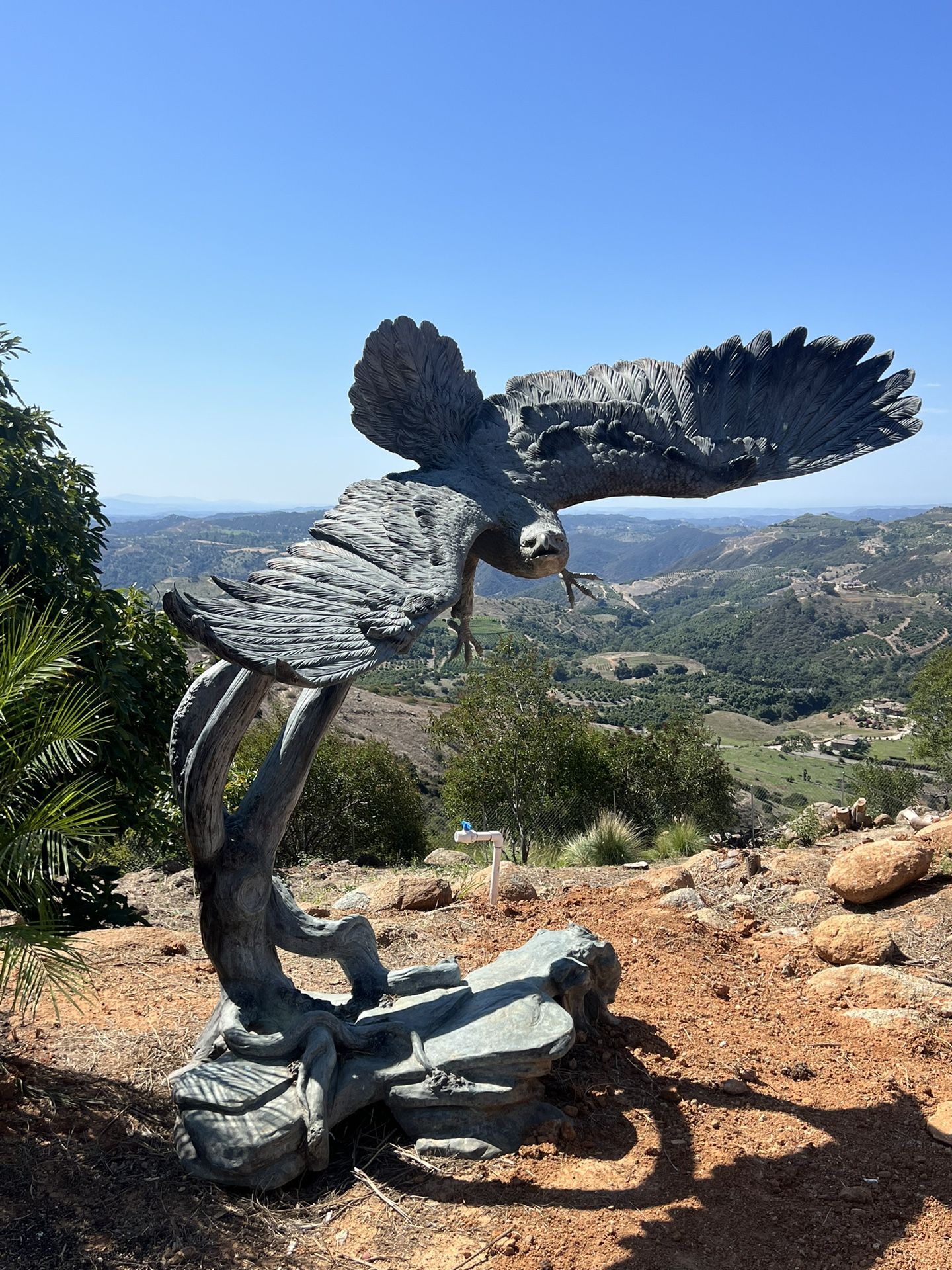 Life Size Bronze Eagle Statue