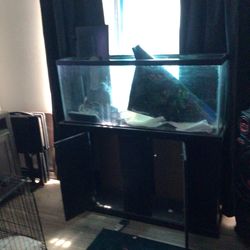 65 Gallon Fish Tank