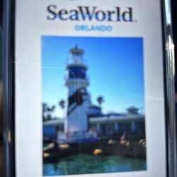Seaworld Aquatica And Busch Gardens Tickets