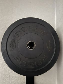Rogue Bumper Plates 