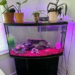 47 Gallon Aquarium/Fish Tank