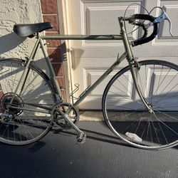 Bikes -1 Adult & 1 Kids