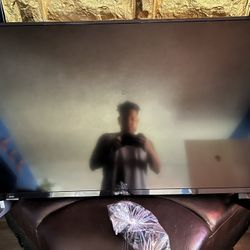 Insignia Fire Stick Tv 50 Inch