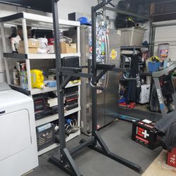 Work Out Dip/ Pull Up