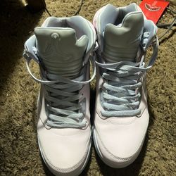 Air Jordan 5s