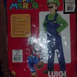 Halloween Costume Luigi