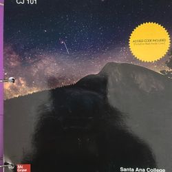 Introduction to Criminal Justice CJ 101