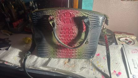 Colored crocodile purse & wallet