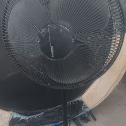 Fan Oscillating 