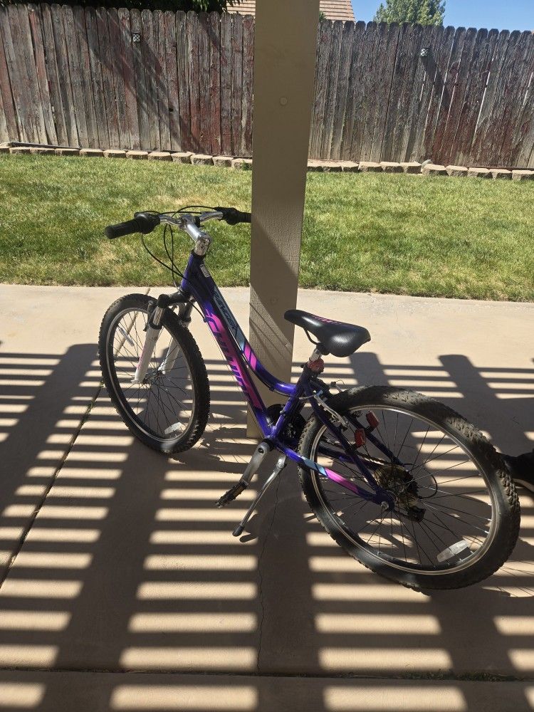 Schwinn Mountain Bike