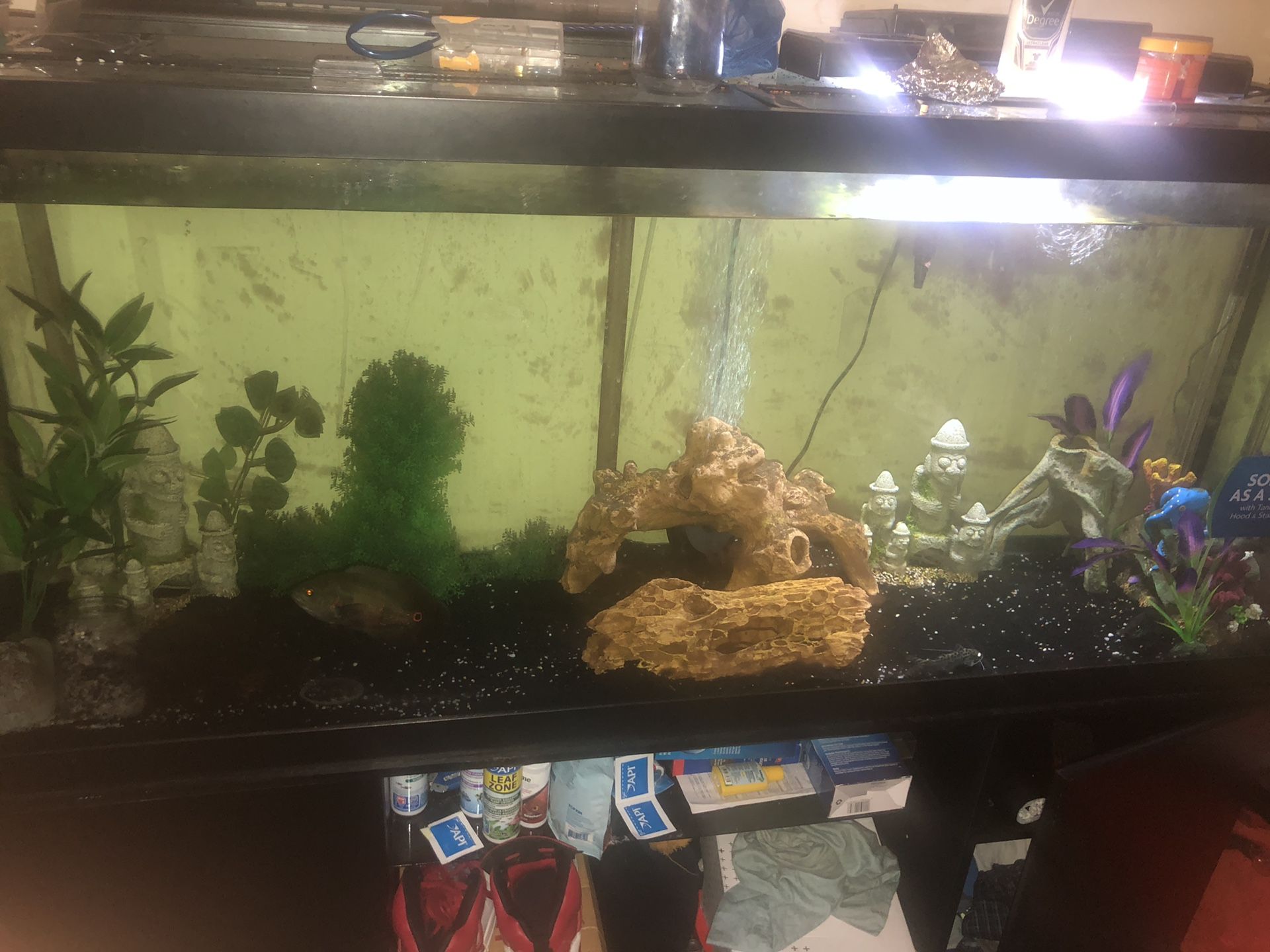 120 gallon fish tank &stand