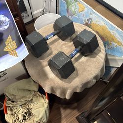 Weights Rack Bench Dumbbells And Curls Bar