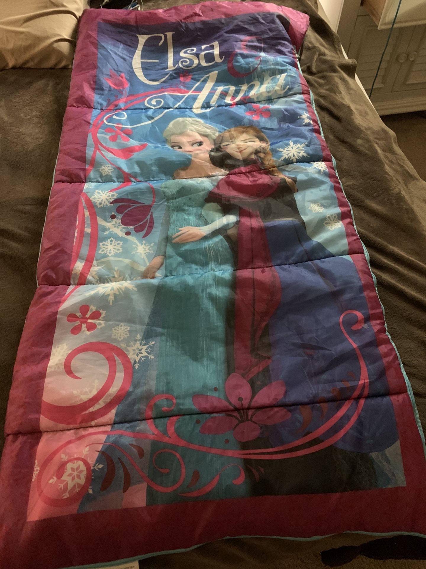 Frozen Sleeping Bag