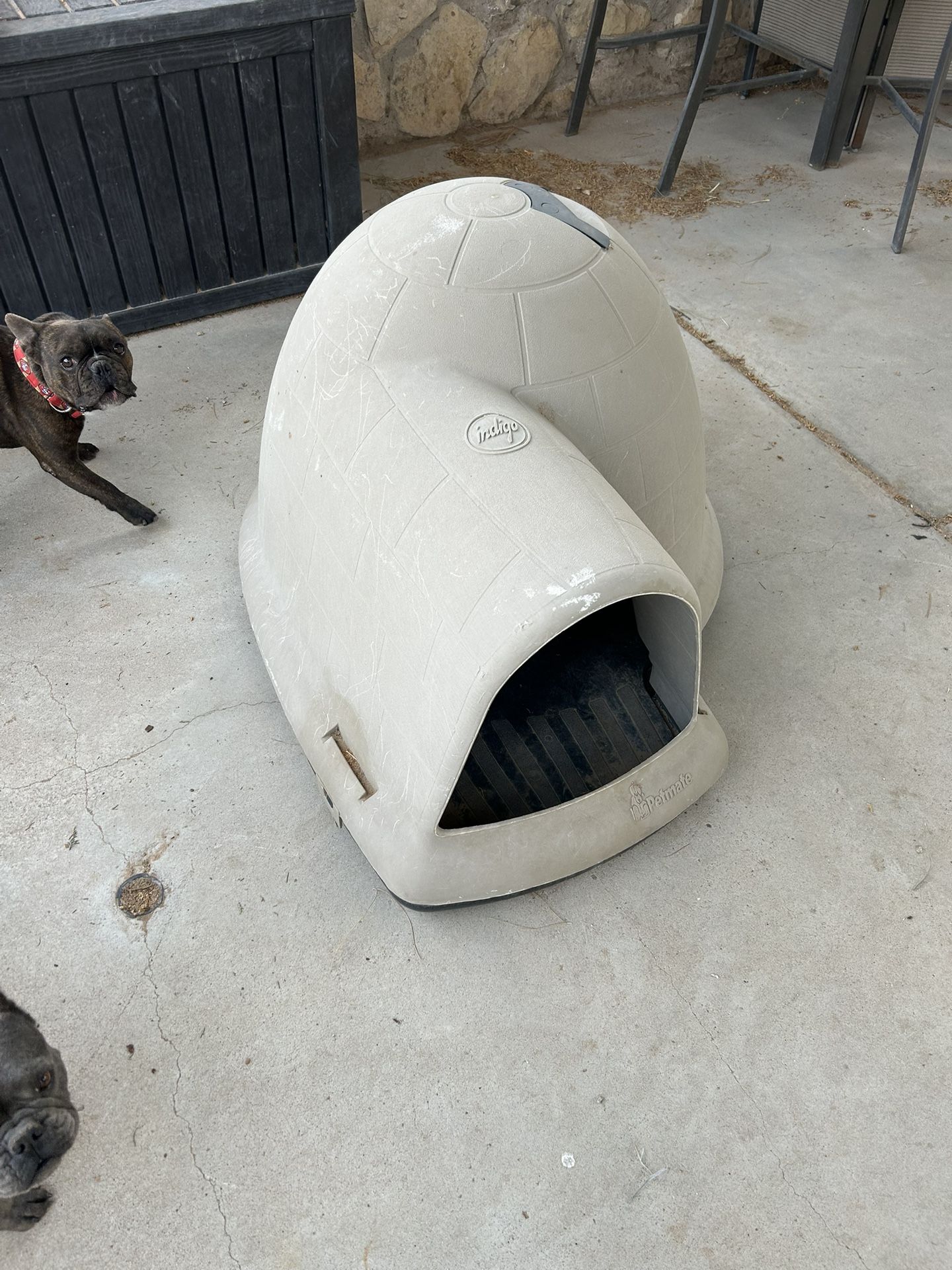 PETCO- Indigo all-Weather Igloo Dog House
