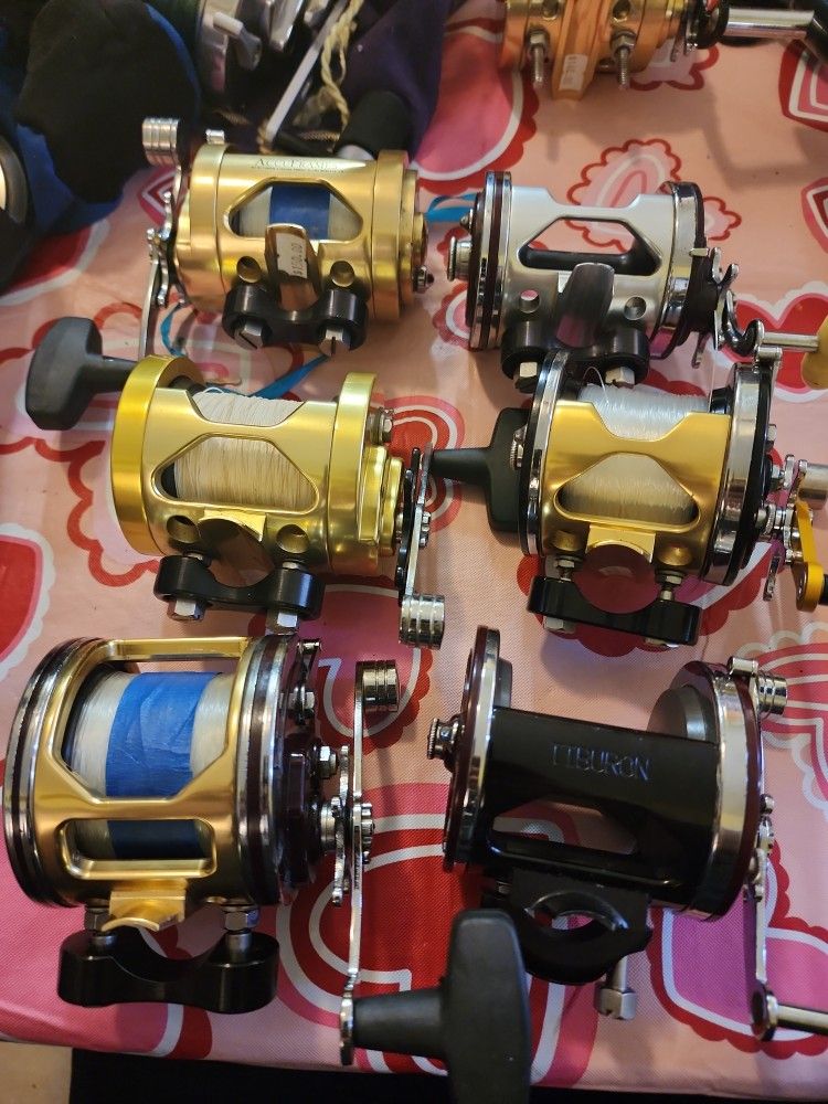 Saltwater Fishing Reels Penn And Penn With Tiburon And Accurate