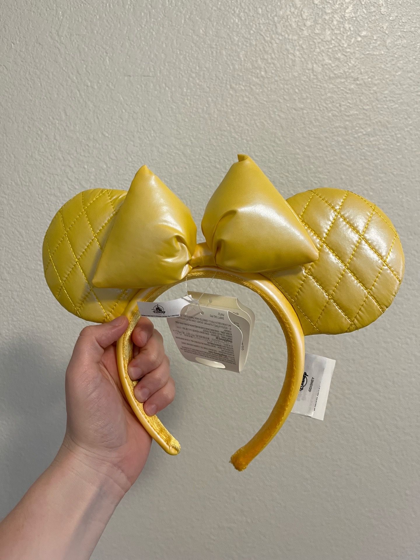 BNWT DISNEY EARS