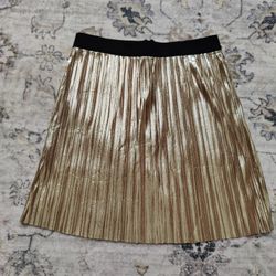 Skirt And Lip Gloss