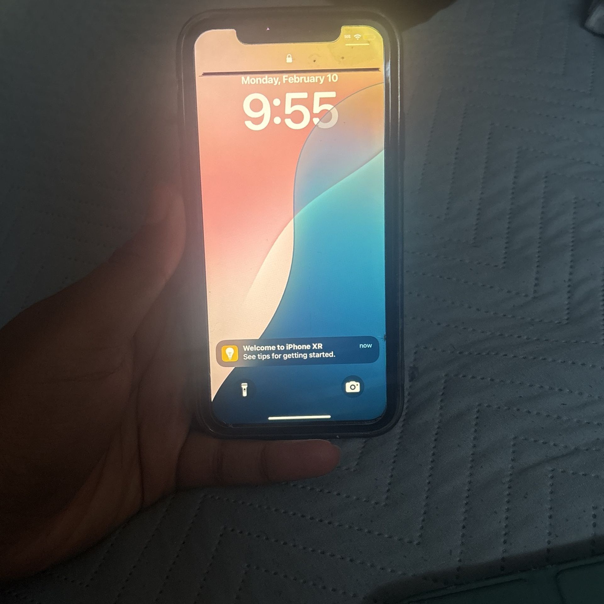 iPhone XR