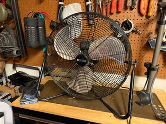 Fan