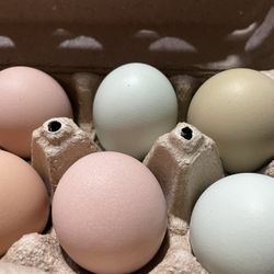 Eggs 