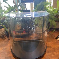 5 Gallon Aquarium 
