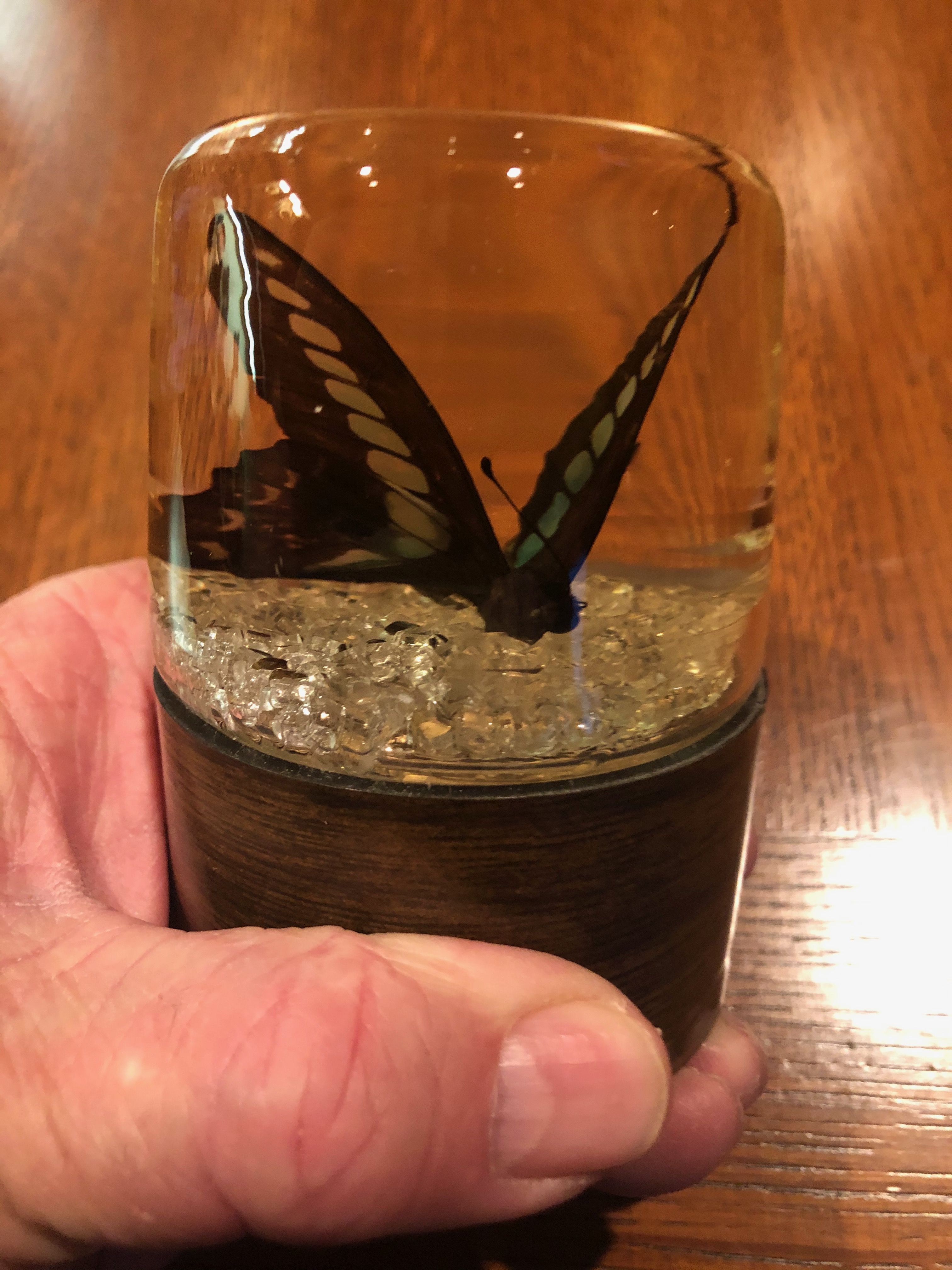 Decor - Vintage Butterfly
