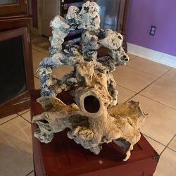 Aquarium Decoration
