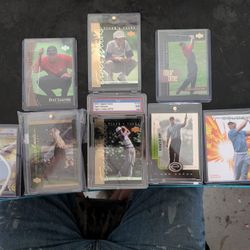 Tiger Woods Lot