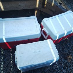 Coolers 