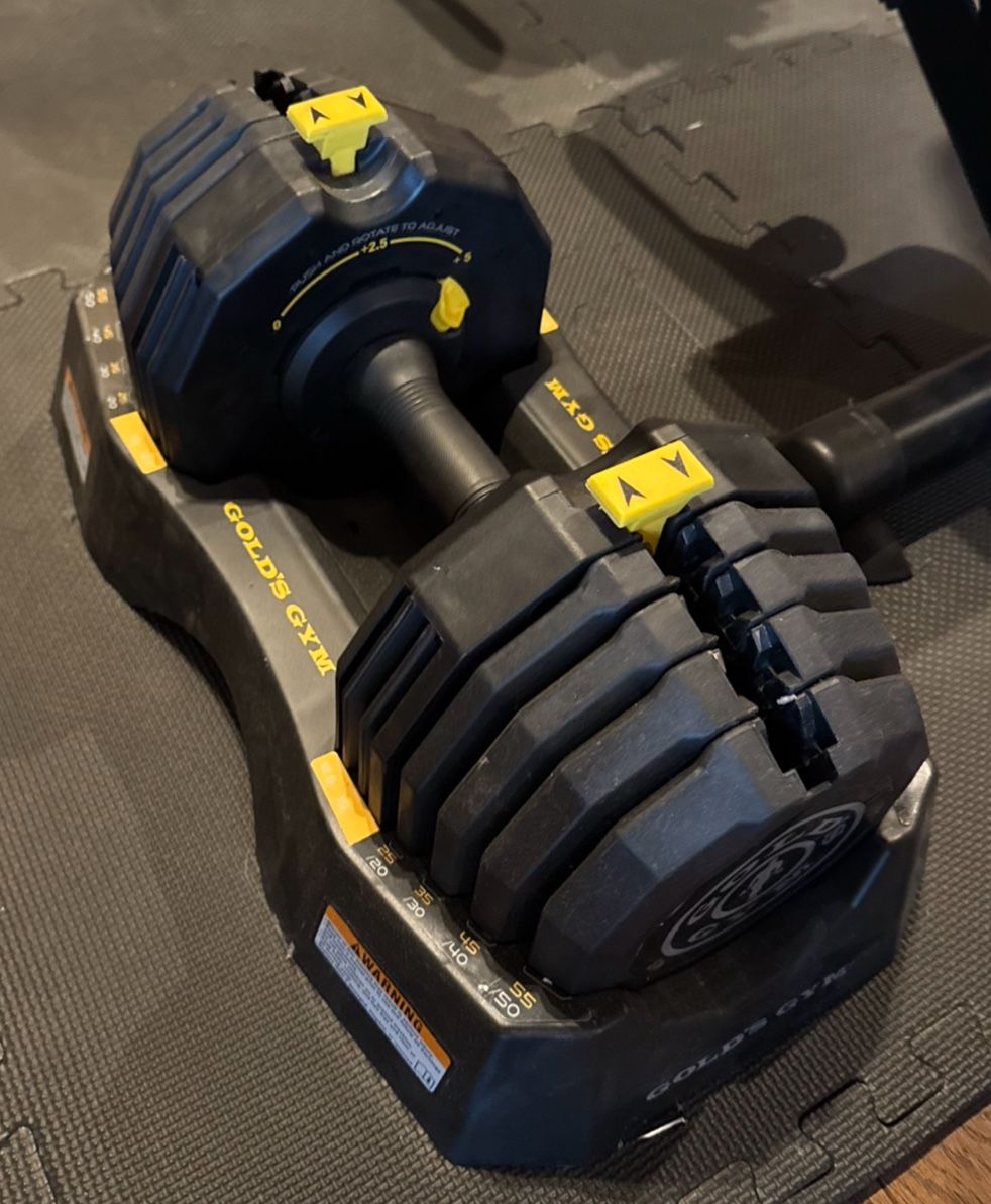 Weights and Weight Bench