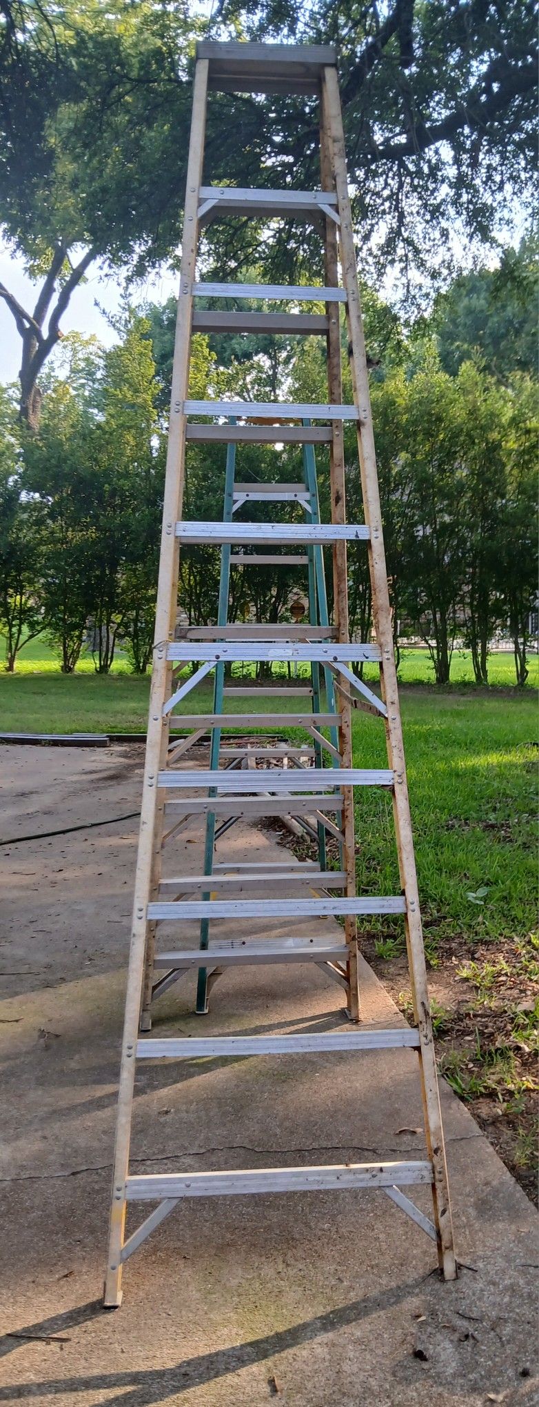 12 ft Werner Ladder