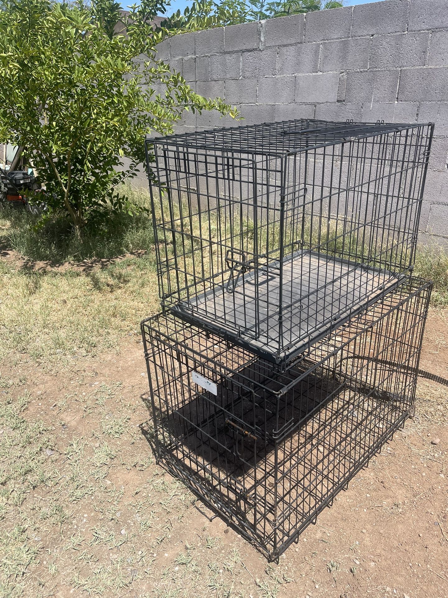 2 Dog Crates