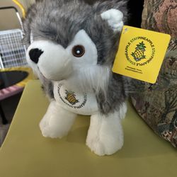 Stuffed Husky 