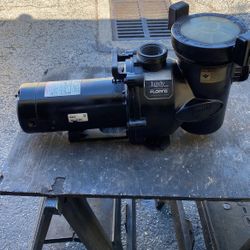 Pool Pump 1.0 Hp Jandy Flooring