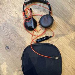 Platronics Headphone with USB