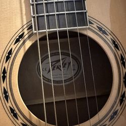 Peavey DW-2 With Tuner 