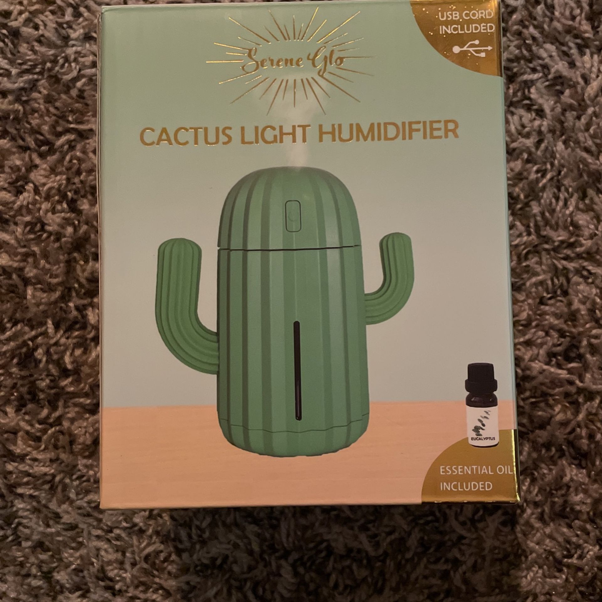 Cactus light humidifier