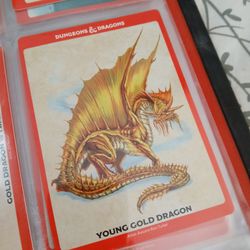 Dungeon & Dragon s