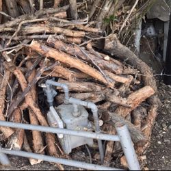 Firewood Cut And Seasoned 