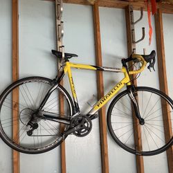 Pinarello Prince SL