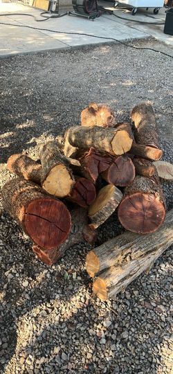 Wood logs