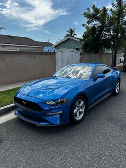 2019 Ford Mustang