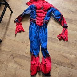 Spiderman Halloween Costume 