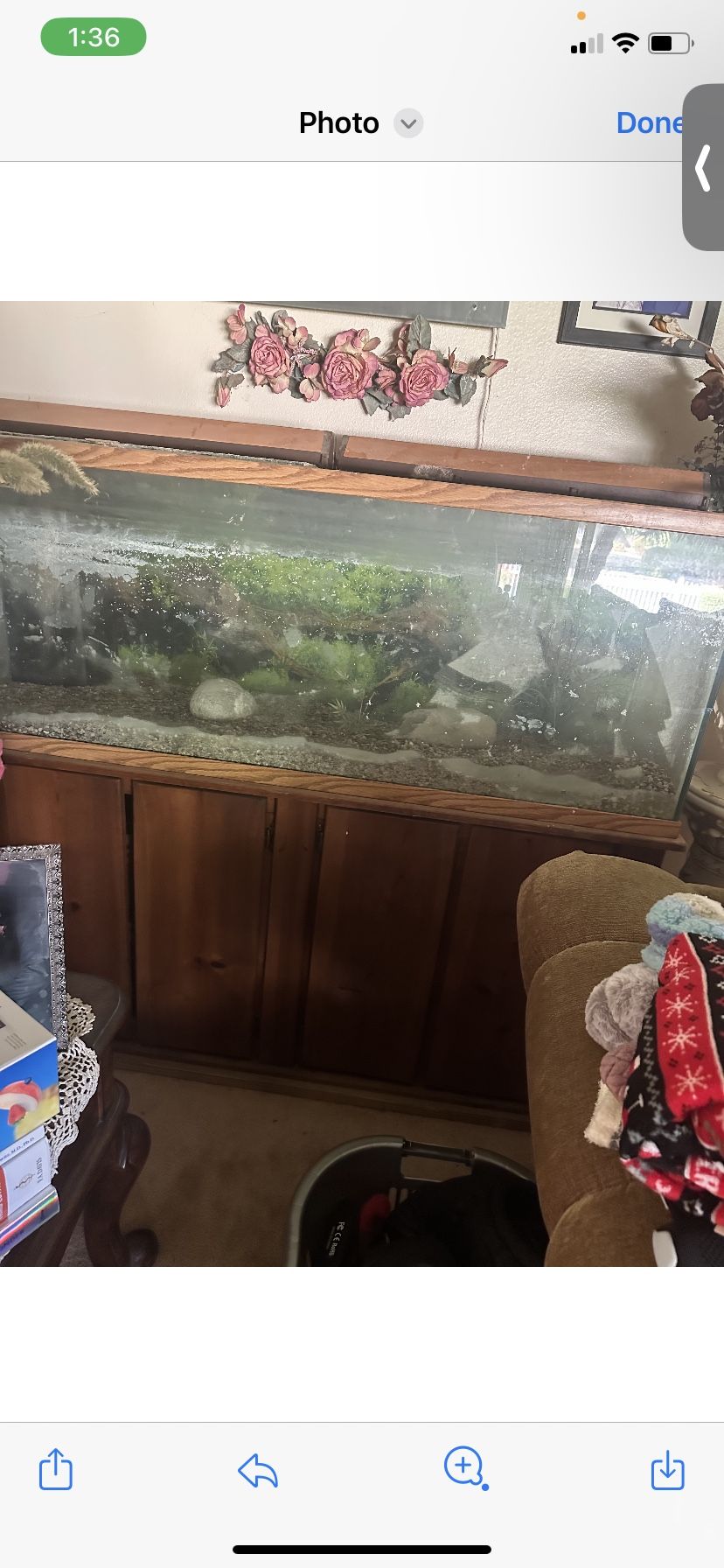 100 Gallon Fish tank
