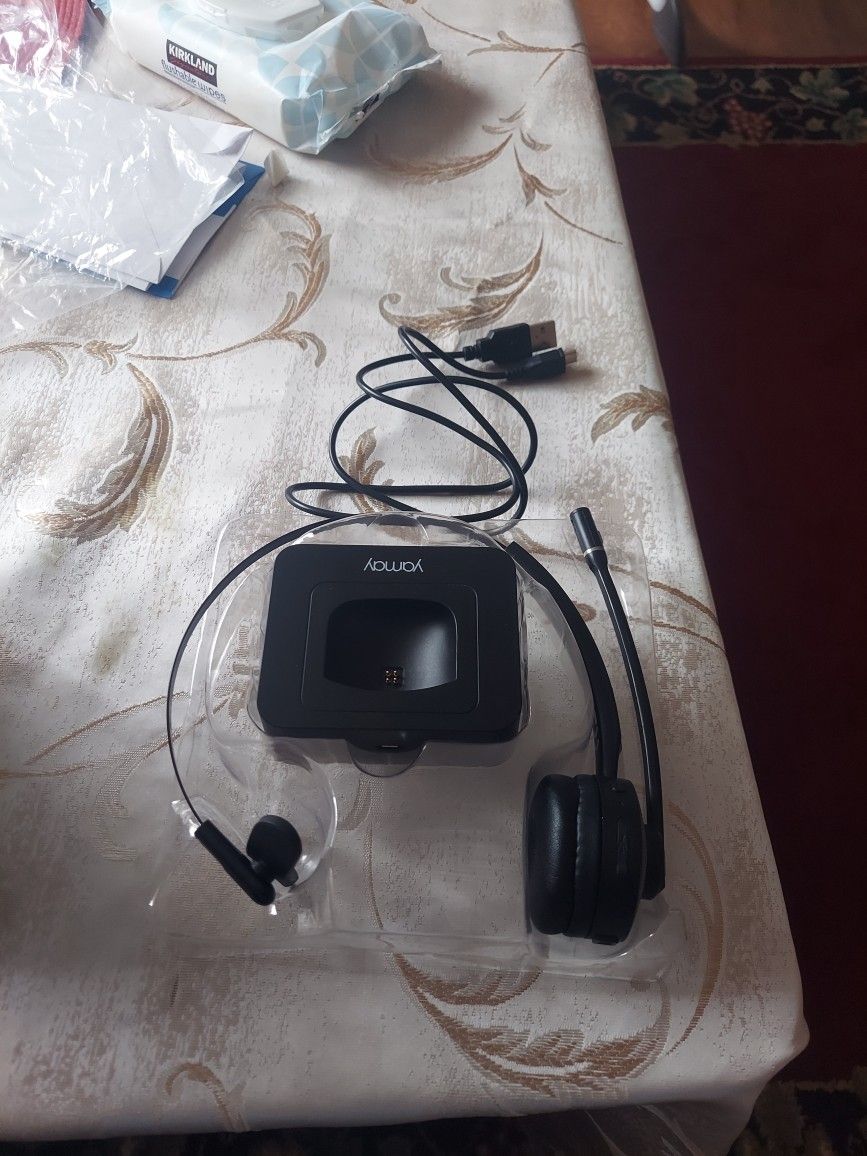 Wireless Headset And Microphone