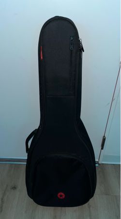 Guitar Case Roadrunner